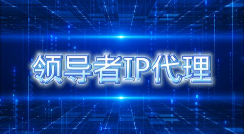 代理服務(wù)器在科技推廣與應(yīng)用服務(wù)中的高效運用指南