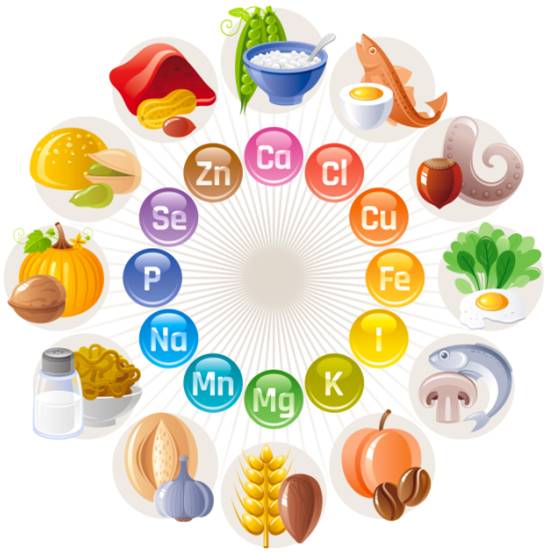 健康課堂 身體不可缺少的“有用”礦物質(zhì)與食品
