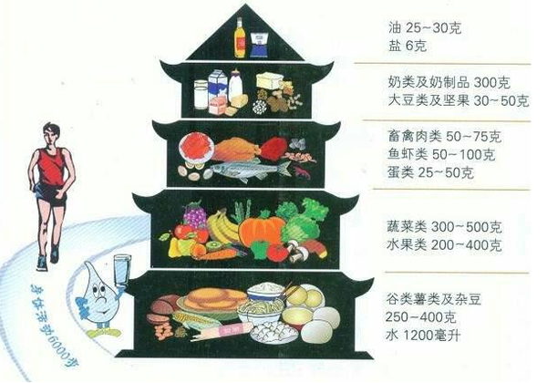 健康生活方式與食品 從餐桌開始的全面健康指南
